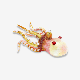 Yellow & Pink Squid Ornament