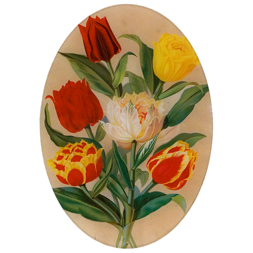 Tulip Bouquet