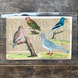 One of a Kind Collaged Birds & Flowers Mat (2-14)