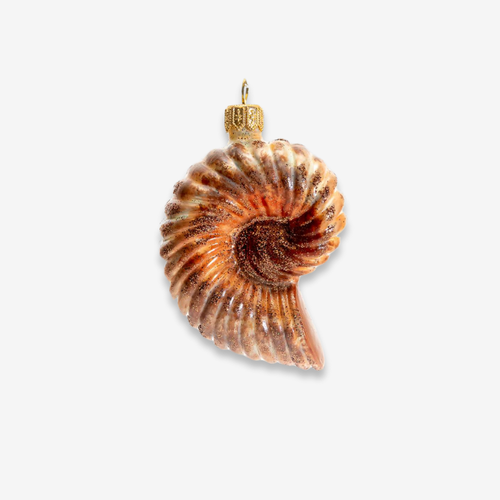 Brown Nautilus Shell Ornament