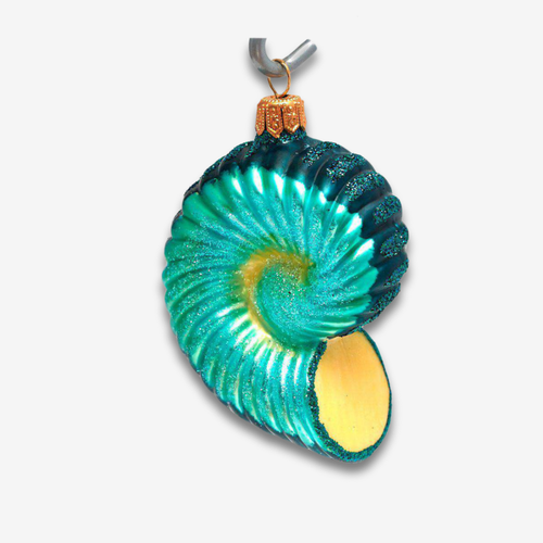 Yellow & Blue Nautilus Shell Ornament