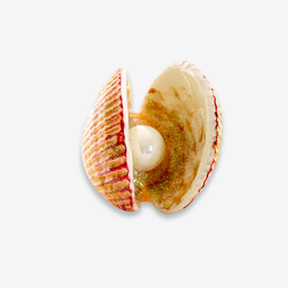 Oyster Clam With Pearl Ornament