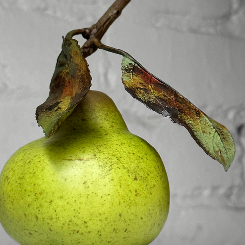 Porcelain Green William Pear with Two Leaves