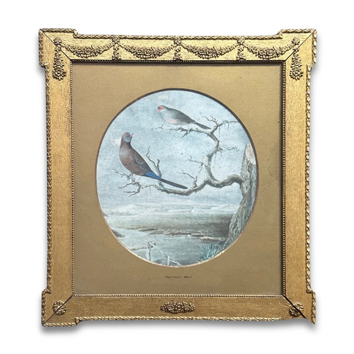 Framed 19th-century Harrison Weir Birds Watercolor