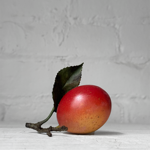 Porcelain Victora Plum with One Leaf