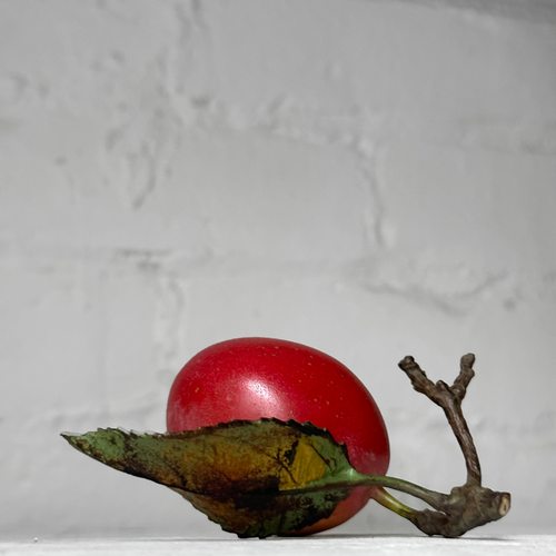 Porcelain Victora Plum with One Leaf