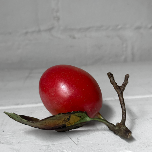 Porcelain Victora Plum with One Leaf