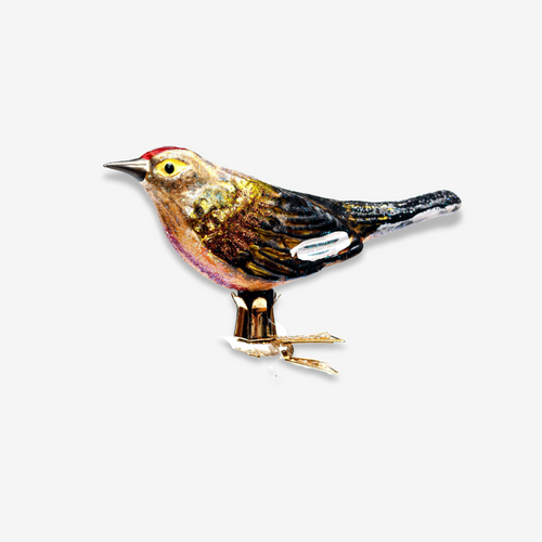 Multicolor Clip-on Bird Ornament