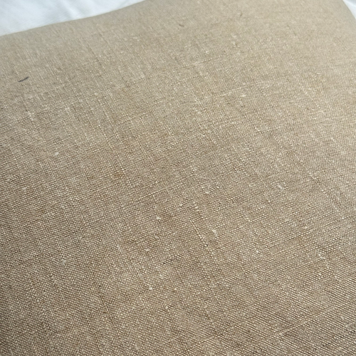 19th Century French Linen Pillow (#190)