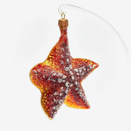 Yellow & Brown Starfish Ornament