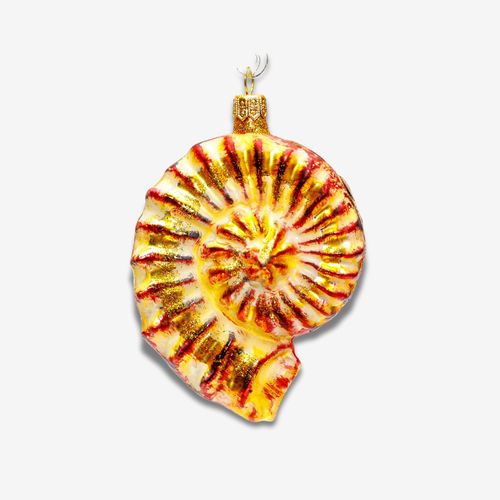 Yellow & Brown Ammonite Shell Ornament