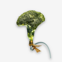 Broccoli Clip-on Ornament