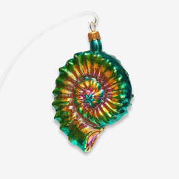 Multicolor Shell Ornament