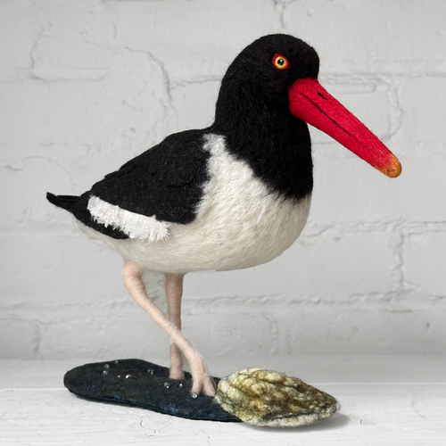 Needle Felted Oystercatcher #1