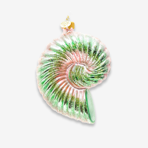 Pink & Green Nautilus Shell Ornament