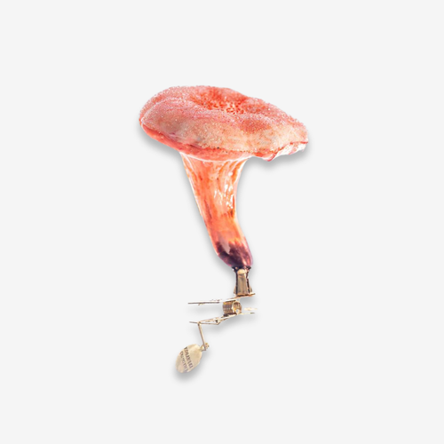 Orange Chanterelle Mushroom Clip-On Ornament