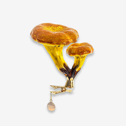 Two Chanterelle Mushrooms Clip-On Ornament