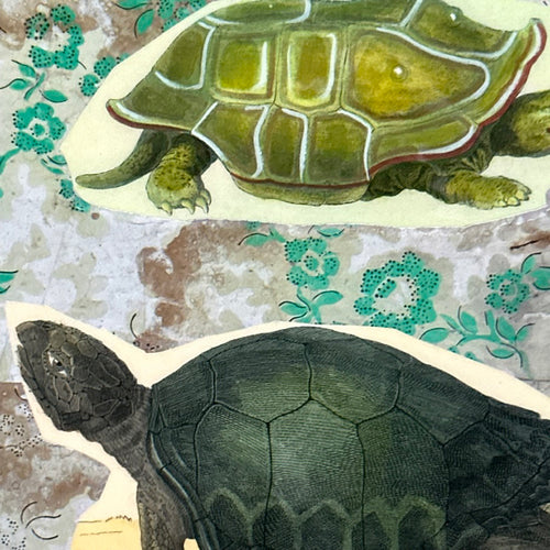 One of a Kind Collaged Turtles Mat (#631)