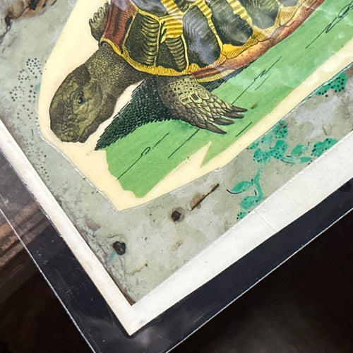 One of a Kind Collaged Turtles Mat (#631)