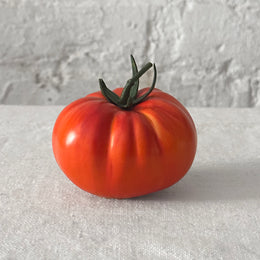 Porcelain Heirloom Tomato (PP21)