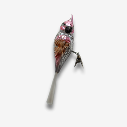 Nostalgic Parrot Clip-on Ornament