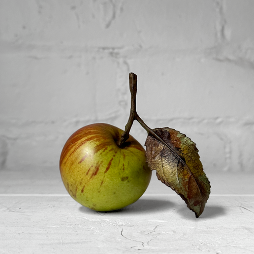 Porcelain Green Cox Windfall Apple