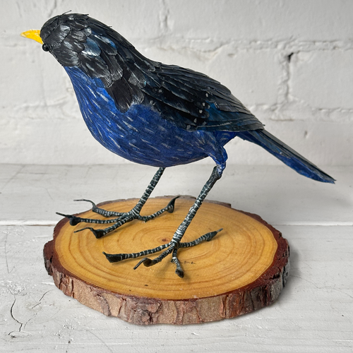 Papier-Mâché Blue Laughing Thrush Bird #39