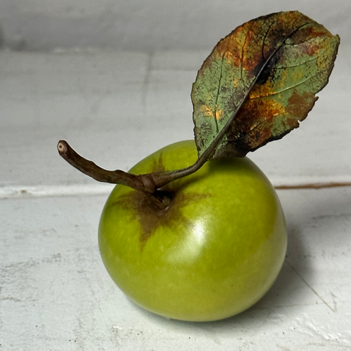 Porcelain Green Windfall Apple