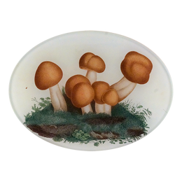 Mushrooms Fig. 4