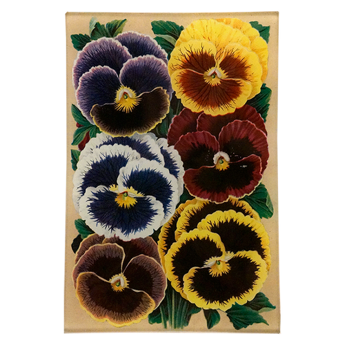 Pansies