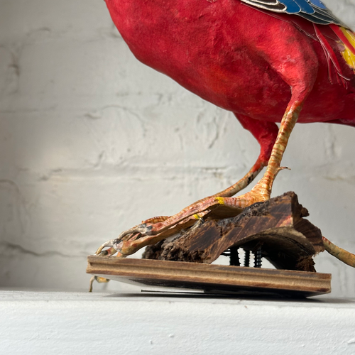 Papier-Mâché Golden Pheasant Bird #6