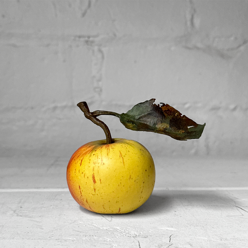 Porcelain Yellow Cox Windfall Apple with Leaf