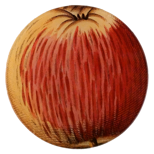 18c. Apple #55