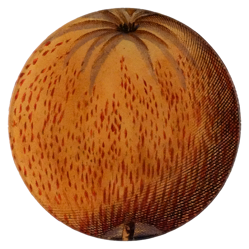 18c. Apple #57