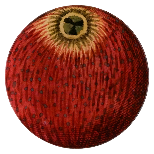 18c. Apple #9