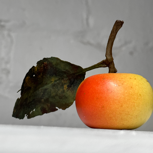 Porcelain Lady Apple with Leaf