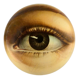 Eye Bowl (Left) Convex