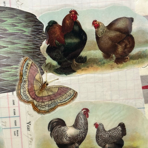 One of a Kind Collaged Asparagus & Rooster Mat (#610)