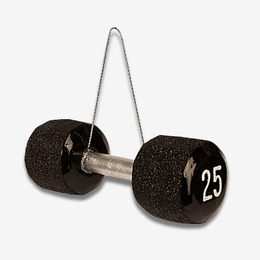 Dumbbell Ornament