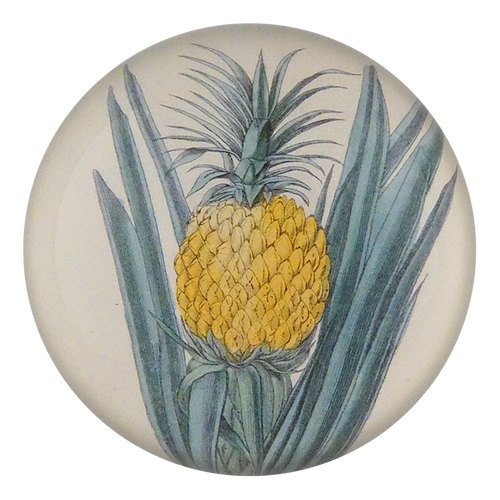 Ananas