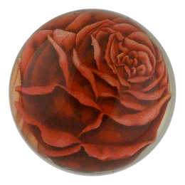 Red Rose Cut-out