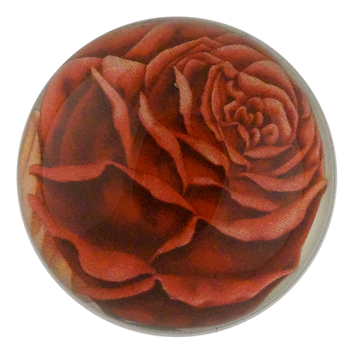 Red Rose Cut-out