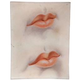 Two Sets of Lips