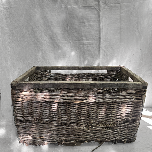 Antique Woven French Grape Basket (#2)