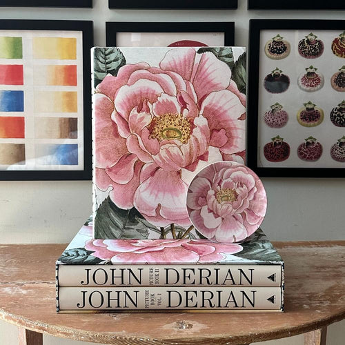 John Derian: The Picture Book Collection Set