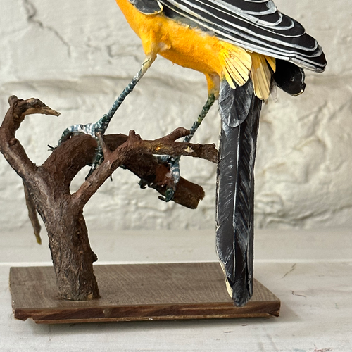 Papier-Mâché Oriole on Branch