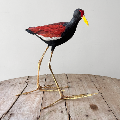 Papier-Mâché Jacana (#8)