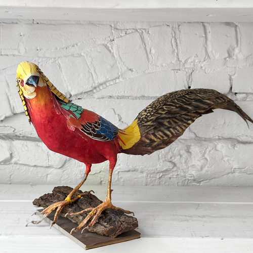 Papier-Mâché Golden Pheasant (#6)