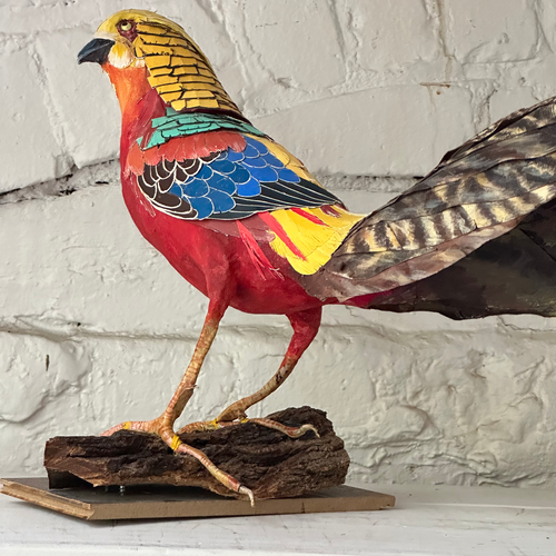 Papier-Mâché Golden Pheasant (#6)