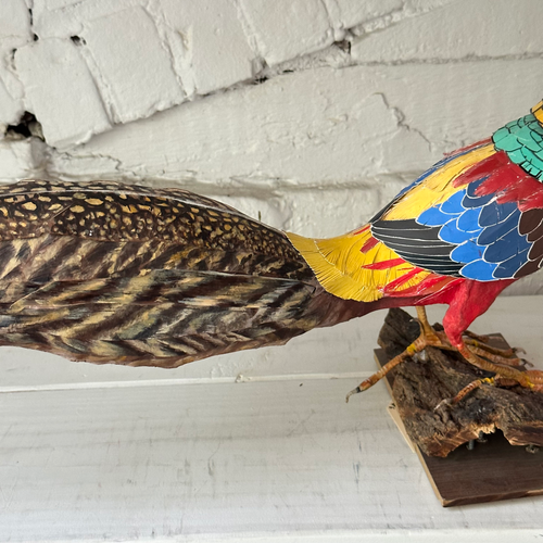 Papier-Mâché Golden Pheasant (#6)